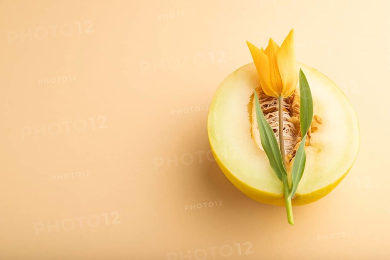 Sliced ripe yellow melon and tulip flower on orange pastel background. Side view, copy space. harvest, women health, vegan food, concept, minimalism