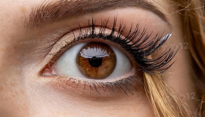 Close-up of a brown eye with long eyelashes and subtle eye make-up, AI generated, AI generated