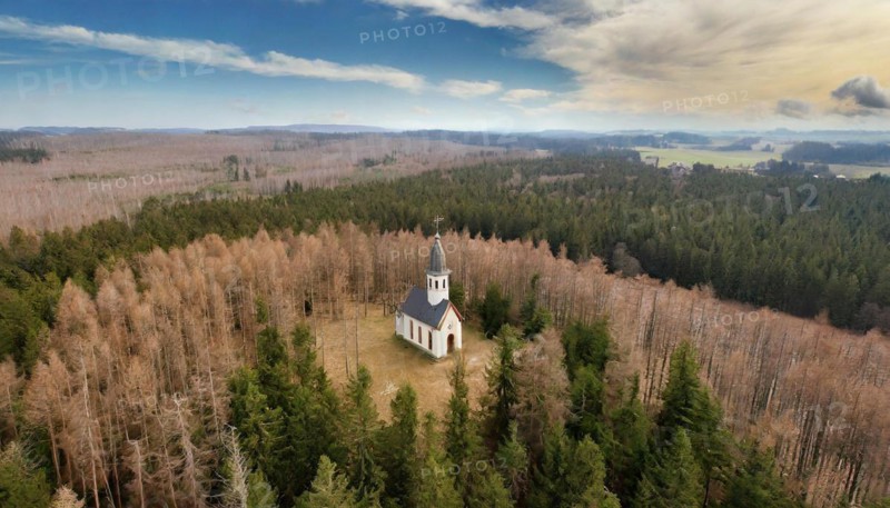 Forest, forest dieback, dead spruces due to drought and bark beetle, small church in the middle of the dead trees, aerial view, AI generated, AI generated
