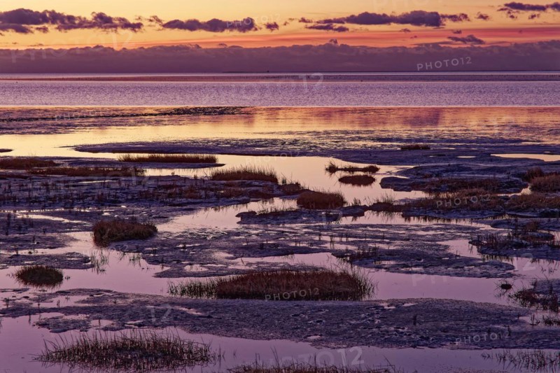 Evening tidal flat landscape shortly after sunset at low tide in the Wadden Sea National Park. UNESCO World Heritage Site, Friedrichskoog, Schleswig-Holstein, Germany, Europe