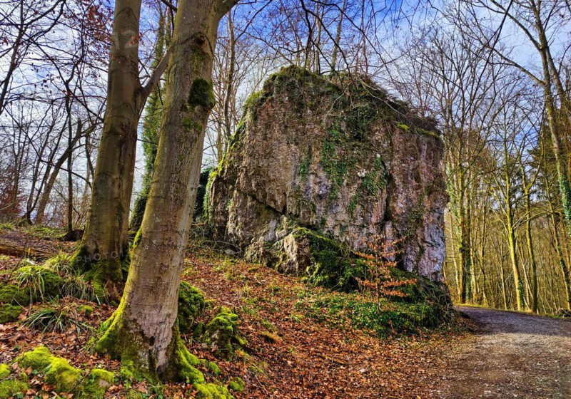 Limestone massif near the Feldhoff Cave in spring, Hönnetal, Balve, Sauerland, North Rhine-Westphalia, Germany, Europe