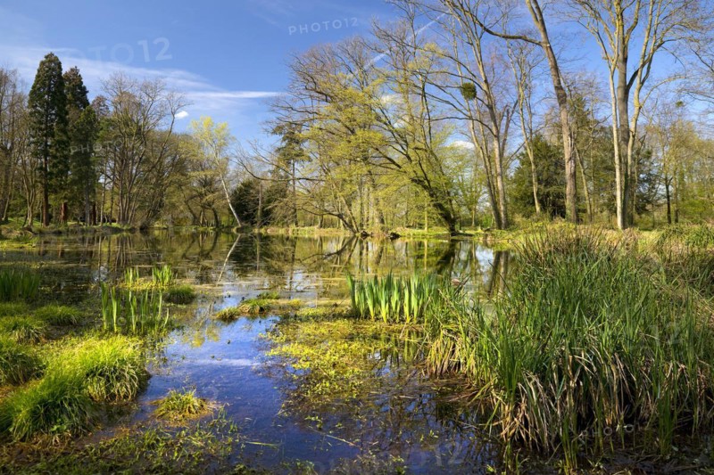 Paffendorf Castle, Castle Park, Route of Garden Art between the Rhine and Meuse with forest nature trail, Bergheim, North Rhine-Westphalia, Germany, Europe