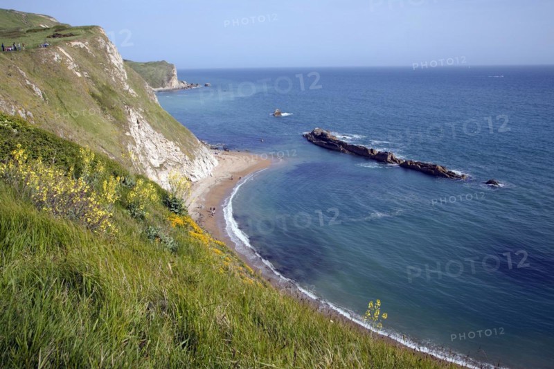 A line of limestone stumps cross Man o' War bay on the Jurassic coast near Lulworth Cove, Dorset, England, United Kingdom, Europe