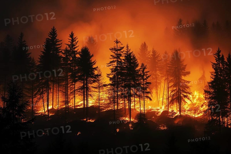 A forest wildfire is raging through a wooded area. Trees are on fire and flames are spreading quickly. Air is thick with smoke, AI generated