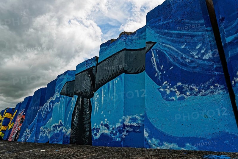 Colourful mural by the sea with a large whale under a cloudy sky, small town of Vila Franca do Campo, Sao Miguel, Azores, Portugal, Europe