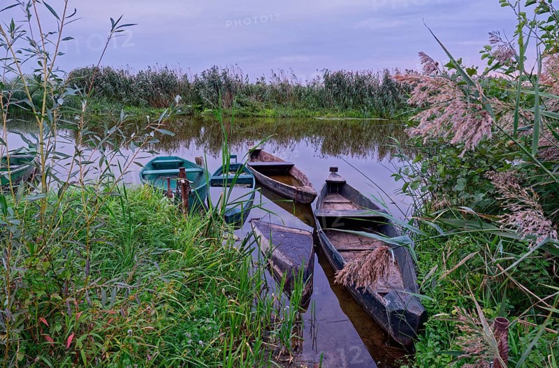 Fishing boat on a branch of the Narew in the Narew National Park in north-east Poland. Waniewo, Podlaskie, Poland, Europe