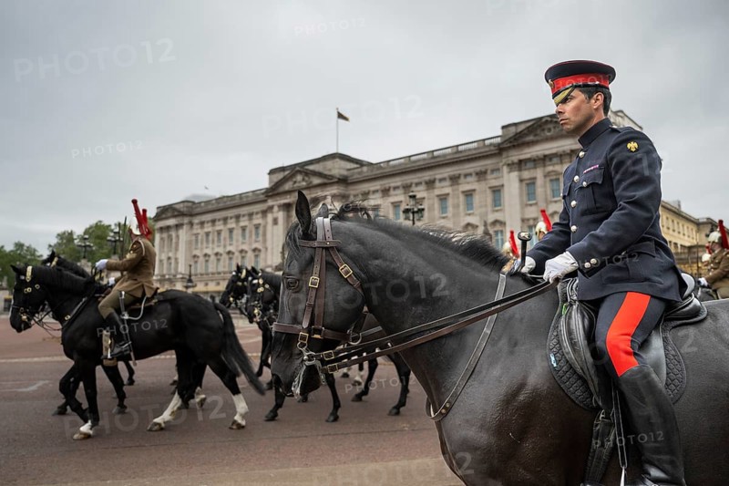 Mounted military, horses, Trooping the colour, military parade in June in honour of the British monarch's birthday, Buckingham Palace, London, England, Great Britain