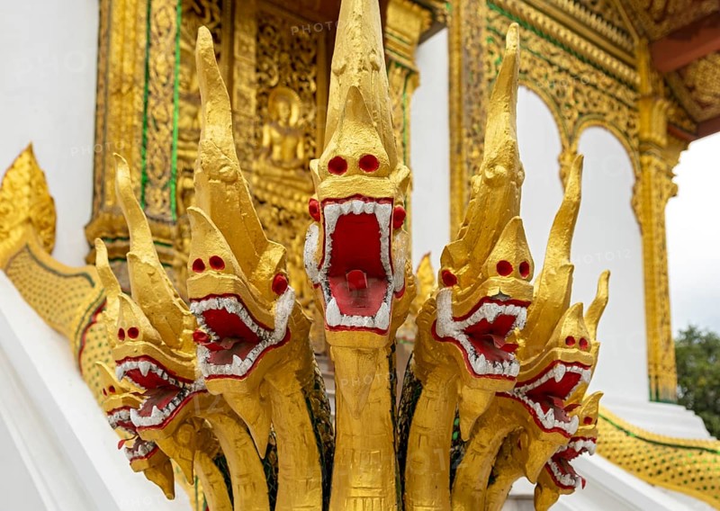 Naga at the steps of Wat Ho Pha Bang temple, Royal Palace, Luang Prabang, Laos, Asia