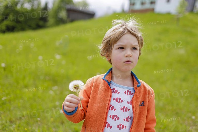 Four year old child with dandelions, Murnau, 19.05.2023