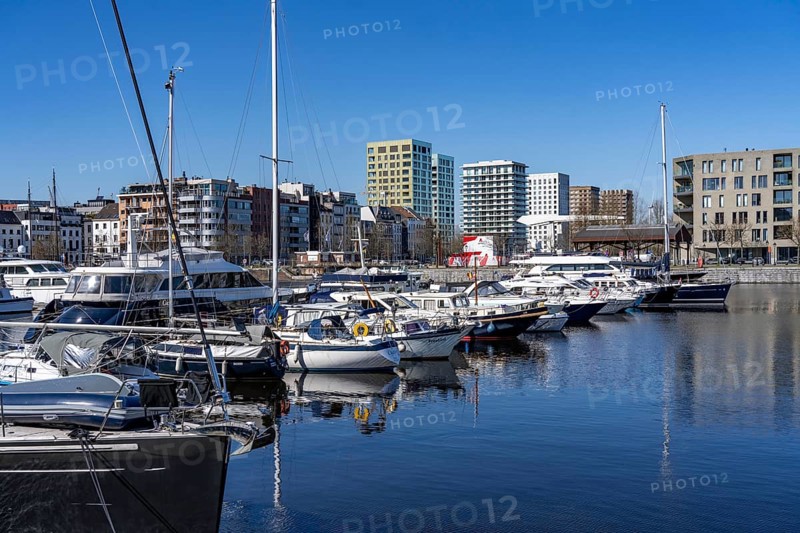 Willemdok, Jachthaven Antwerpen harbour basin, old harbour district, Het Eilandje of Antwerp, formerly disreputable, dingy district, now modern, hip district, with lots of culture, living space, leisure, gastronomy, trendy district, Flanders, Belgium, Europe