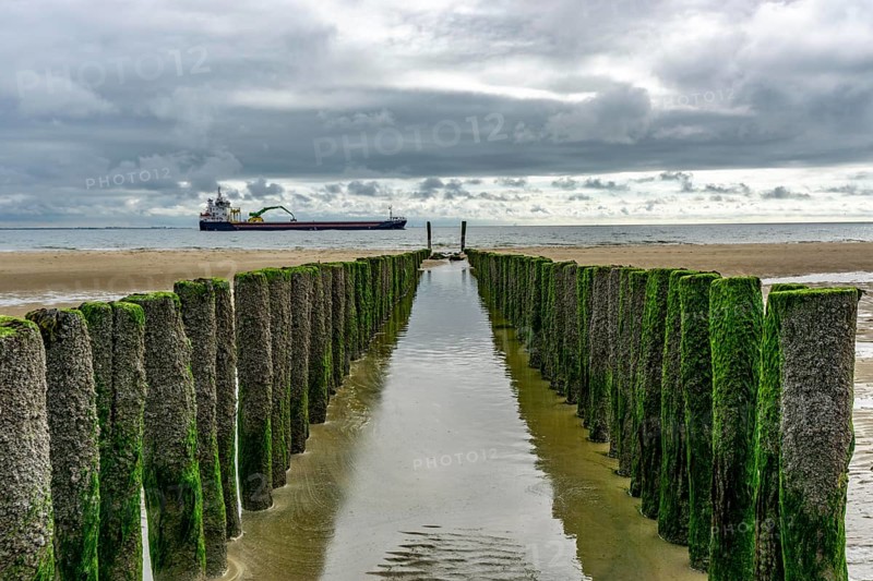 North Sea coast in Zeeland, called Zeeland Riviera, breakwater, made of wooden piles, near Zoutelande, freighter Selvaagsund, municipality of Veere, Netherlands