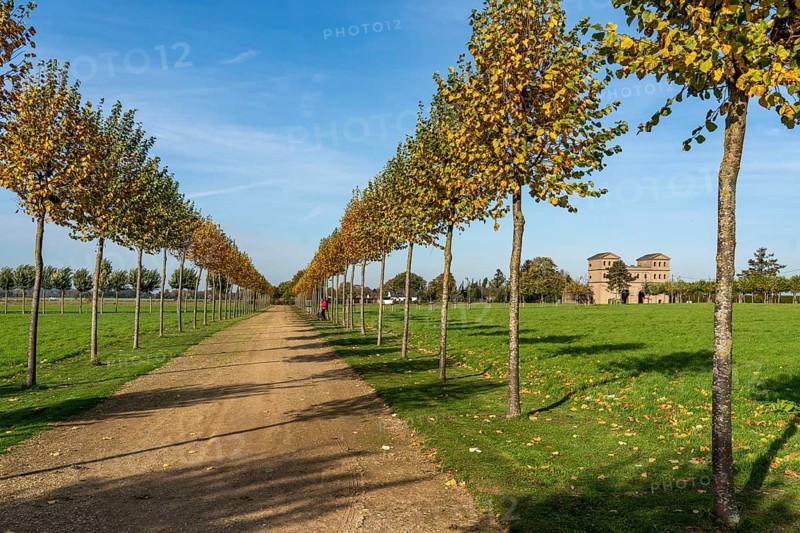 Xanten Archaeological Park, open-air museum on the site of the former Roman city of Colonia Ulpia Traiana, tree-lined avenues show the former course of the road, north gate, North Rhine-Westphalia, Germany, Europe