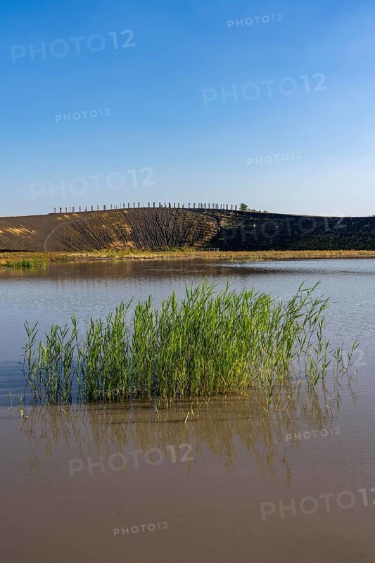 The Haniel spoil tip, 185 metre high spoil tip at the Prosper Haniel mine, which was closed in 2019, artwork Totems by the sculptor Augustin Ibarrola, pond, Bottrop, Germany, Europe