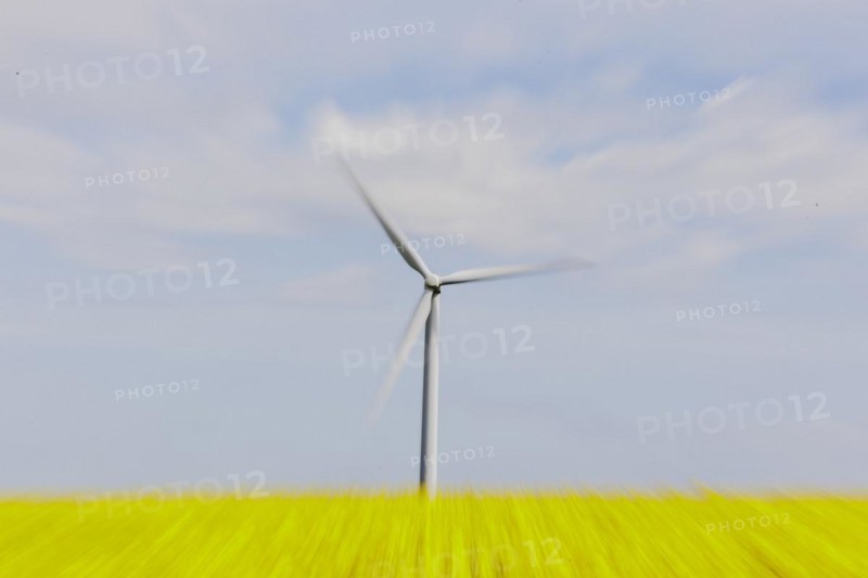 A wind turbine in a rapeseed field, photographed in Vierkirchen, 12/04/2024