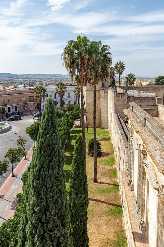 Green garden with cypresses and palm trees along a historic wall, Jerez