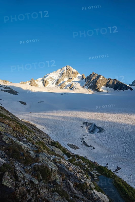 High alpine mountain landscape, summit of the Aiguille de Chardonnet and Glacier du Tour, glaciers and mountain peaks, Chamonix, Haute-Savoie, France, Europe