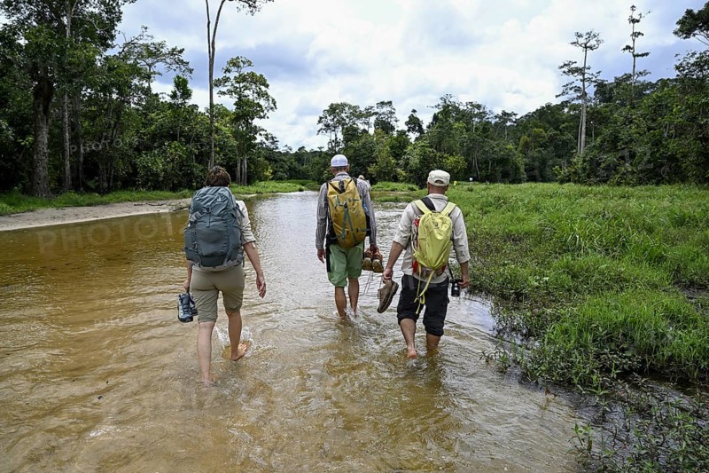 Tourists on the way to the Dzanga Bai forest clearing, Dzanga-Ndoki National Park, Unesco World Heritage Site, Dzanga-Sangha Complex of Protected Areas (DSPAC), Sangha-Mbaéré Prefecture, Central African Republic, Africa