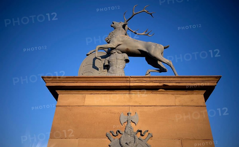 Heraldic stag by Anton von Isopis in front of the main portal and cour d'honneur Neues Schloss, Schlossplatz, Stuttgart, Baden-Württemberg, Germany, Europe