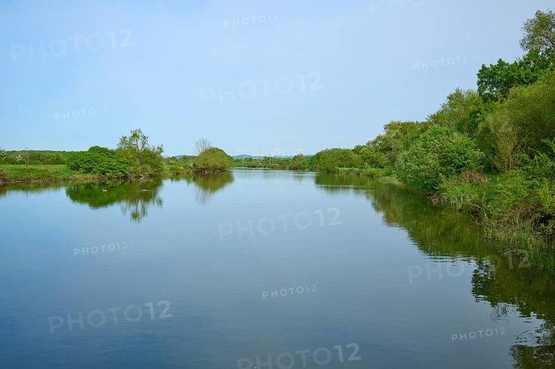 Tranquil landscape with a lake and trees under a clear sky, Kinzigsee, Langenselbold, Hanau, Hesse, Germany, Europe