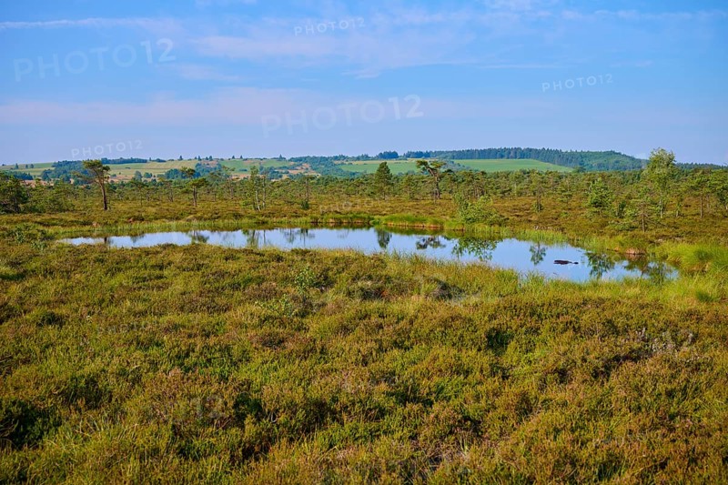 A tranquil moor lake bog eye in a green landscape under a blue sky, Schwarzes Moor, Fladungen, Rhön, Bavaria, Germany, Europe