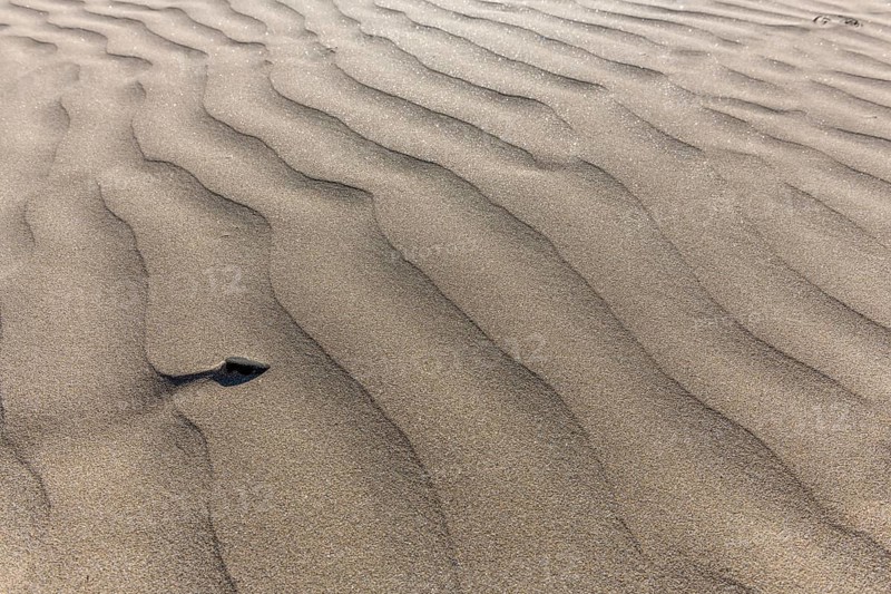 Fine sand moulded by the wind on a beach. Crozon, Finistere, Brittany, France, Europe