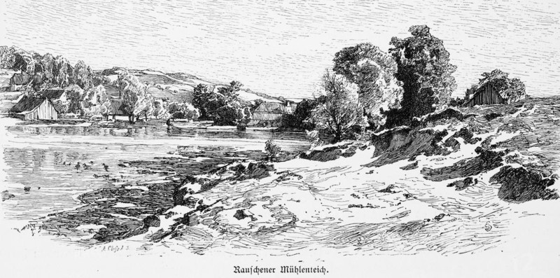 Mill pond in Svetlogorsk or Rauschen, Kaliningrad Oblast, Baltic Sea, Russia, seaside resort, natural landscape, hilly landscape, bum group, historical illustration 1880, Europe