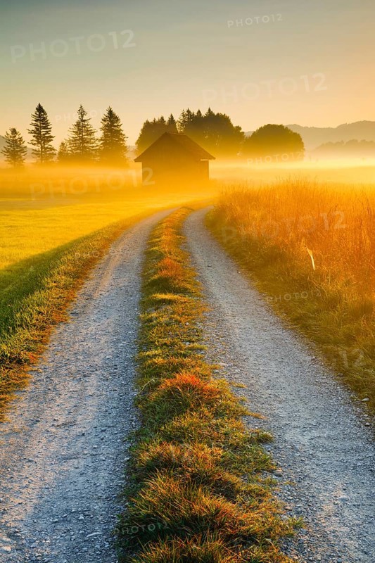Golden morning light streams through fields of fog and the Rothenthurm high moor, Schwyz, Switzerland, Europe