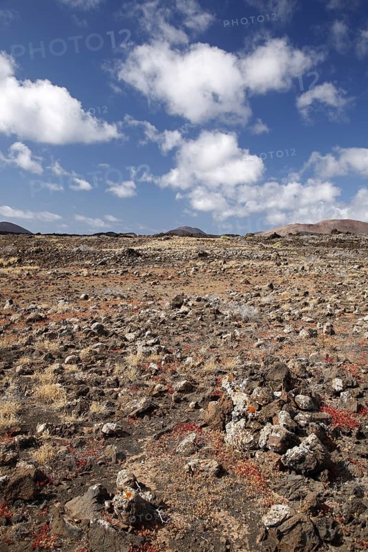 Volcanic landscape near Salinas de Janubio, Lanzarote, Canary Islands, Spain, Europe