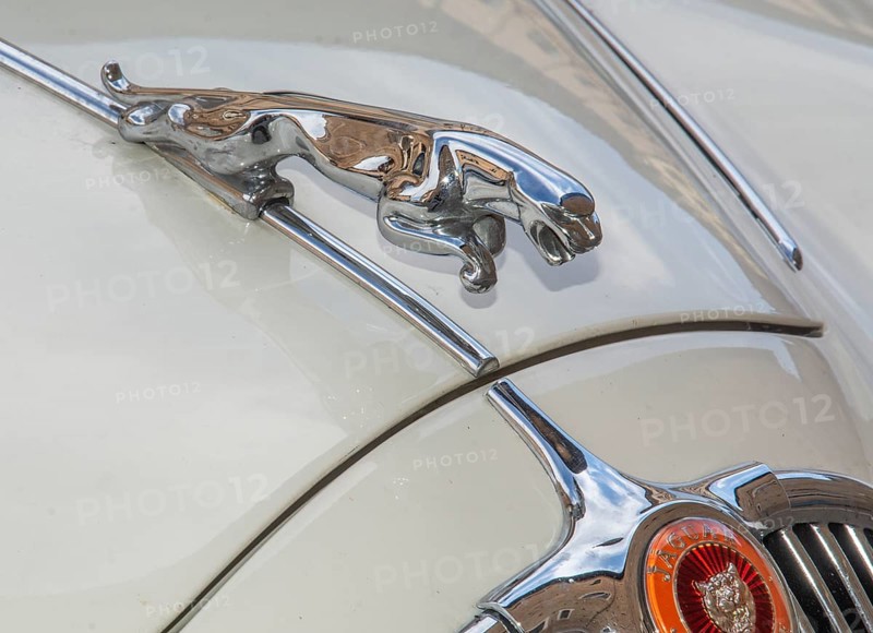 Hood ornament on a Jaguar automobile car