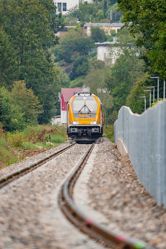 A train on rails runs through a landscape with trees, the atmosphere is autumnal and quiet, track construction, rail delivery for Hermann Hessebahn, Calw, Black Forest, Germany, Europe