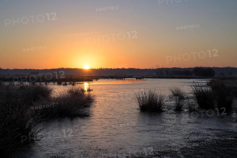 Blänke on a wet meadow, at frost, sunrise, morning, NSG Dingdener Heide, North Rhine-Westphalia, Germany, Europe