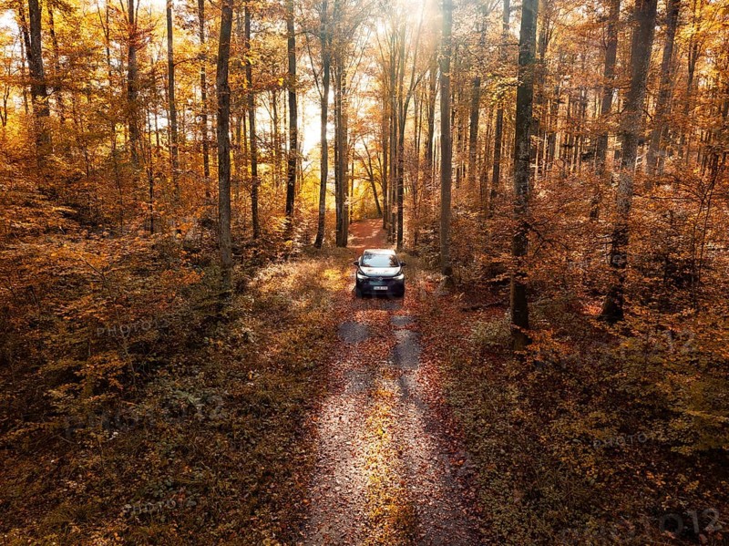 Car on a road in an autumnal forest with bright sunlight, electric car, VW ID5, Gechingen, Black Forest, Germany, Europe