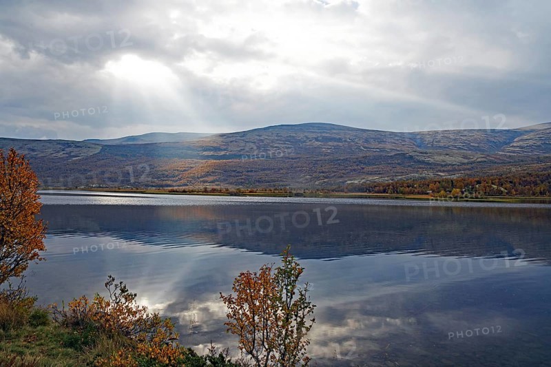 A lake with mountains in the background, rays of light penetrate the clouds, autumn leaves and their colours are visible, Valasjoen, Hjerkinn, Dovrefjell-Sunndalsfjella National Park, Norway, Europe