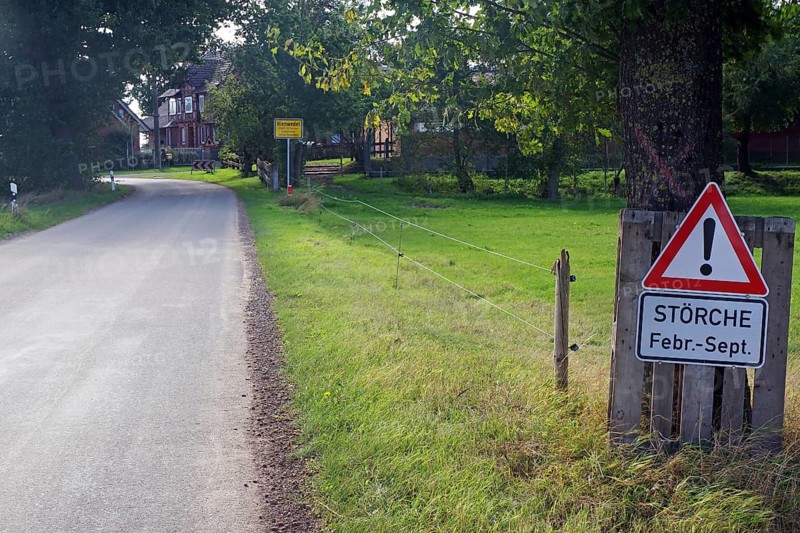 Country road with a warning sign for storks in a green village, Wendland, Elbe, Germany, Europe