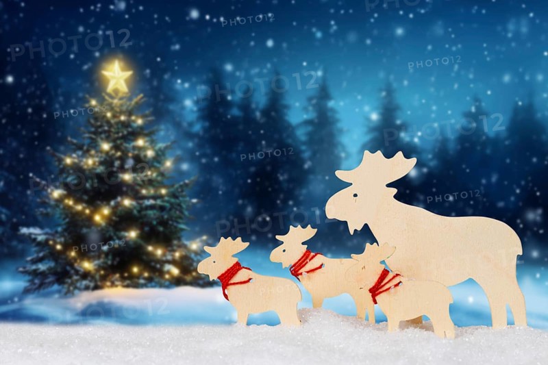 Christmas card for Christmas Card with reindeer moose and text free space Copyspace decoration and Christmas tree in Stuttgart, Germany, Europe