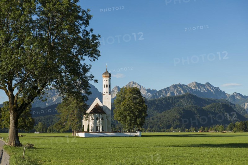 Pilgrimage church of St Coloman in the morning light, Schwangau, Füssen, Ostallgäu, Allgäu, Swabia, Bavaria, Germany, Europe