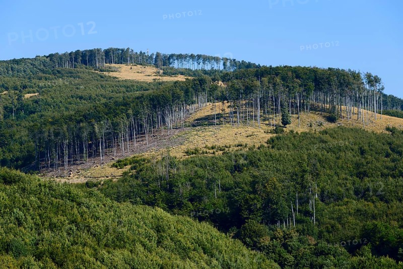 A hill with a partially deforested area under a blue sky, Pezinska Baba ski resort, Pezinská Baba, Little Carpathians, Malé Karpaty, Pezinok, Slovakia, Europe