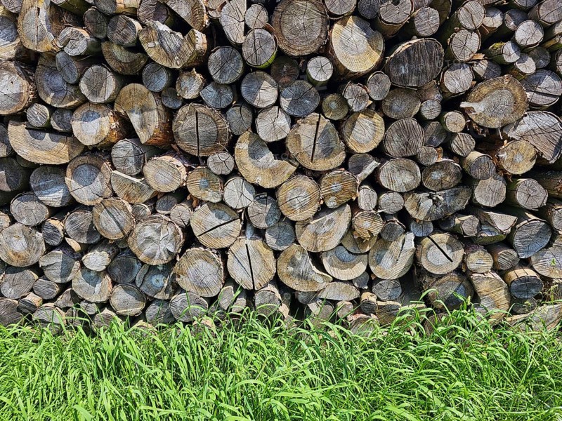 Stacked woodpile with many cut tree trunks and a green meadow in the foreground, Bavaria, Germany, Europe