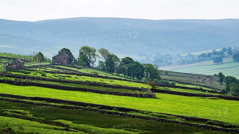 Farms over North Pennines, Cumbria, Durham, Northumberland, North Yorkshire, England, United Kingdom, Europe