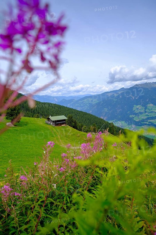 Bärenbadalm, Zillertaler Höhenstraße, Zillertal, Tyrol, Austria, Europe