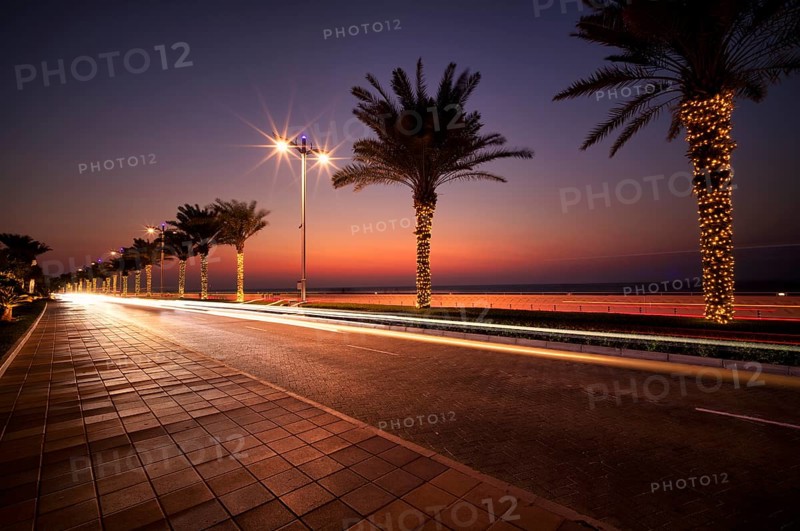 Night shot, Crescent Road, street, The Boardwalk Palm Jumeirah, palm trees, light trails, traffic, sunset, Dubai, United Arab Emirates, VAR, Asia