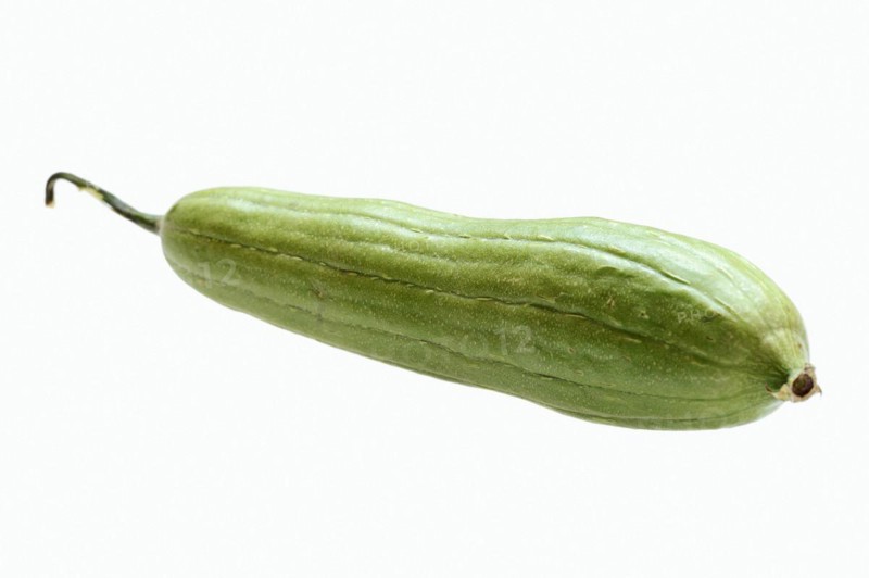 Sponge cucumber or sponge gourd (Luffa aegyptiaca, Luffa cylindrica), fruit on white background
