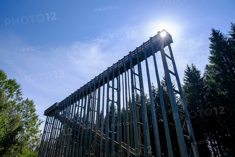 Sky ladder on the Schremser Hochmoor, municipality of Schrems, Waldviertel, Lower Austria, Austria, Europe