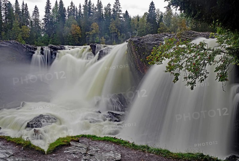 A rushing waterfall in a forest, shrouded in fine mist, autumn, Ristafallet, jämtland, Sweden, Europe