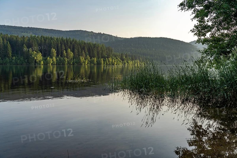 Schluchsee reservoir, Black Forest, Baden-Württemberg, Germany, Europe