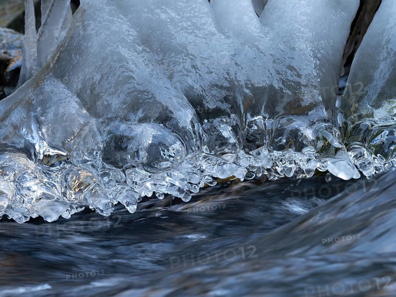 Icicle on the bank of a stream, winter, Upper Franconia, Germany, Europe