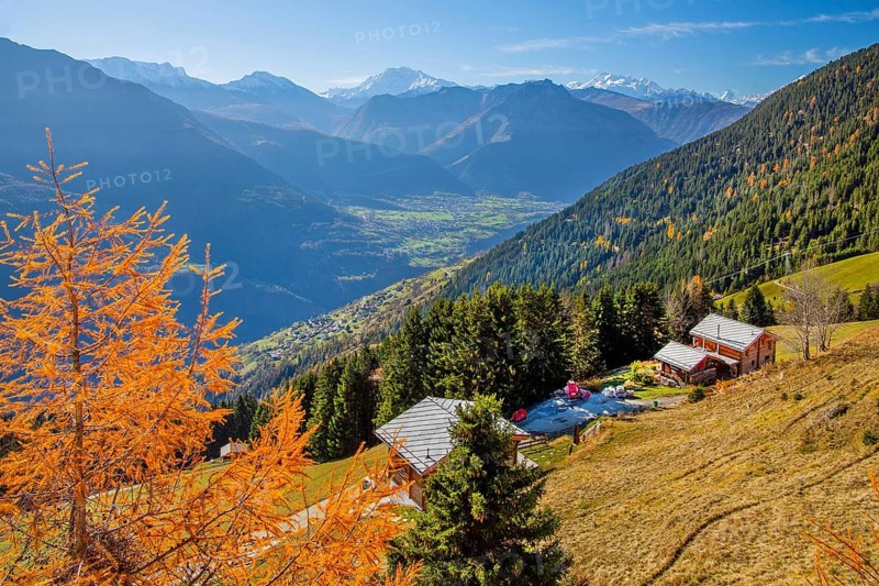 Autumn landscape with chalets above the Rhone valley and panorama of Fletschhorn 3985m, Dom 4545m and Matterhorn 4478m, Riederalp, Goms, Rhone valley, Upper Valais, Valais, Switzerland, Europe