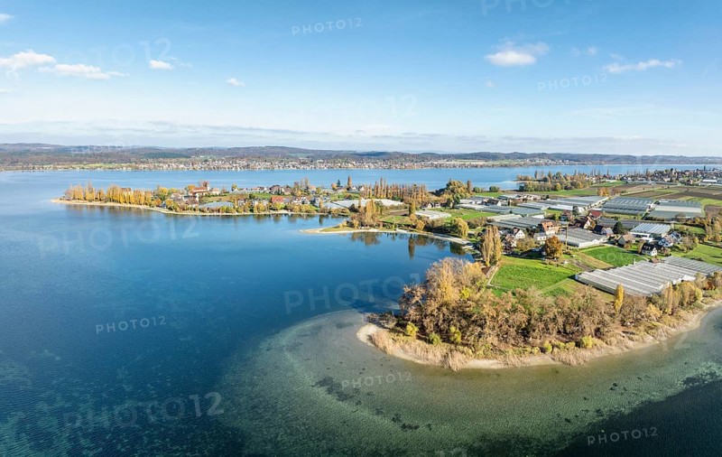 Aerial view of the southwestern part of the island of Reichenau with autumn vegetation, Lake Constance, Constance district, Baden-Württemberg, Germany, Europe