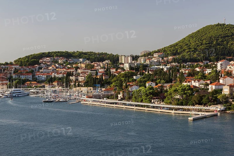 High angle view of tan and white trim houses and villas with traditional terracotta clay tile rooftops on hillside and boats in marina on Lapad peninsula in late summer, Dubrovnik, Croatia, Europe