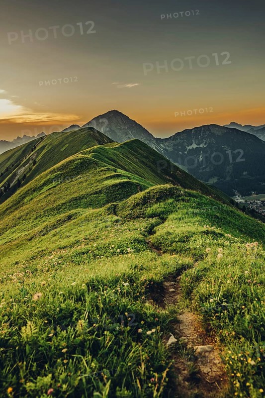 Hiking tour on the Hönig mountain in the Lechtal valley near Berwang in Tyrol, Austria, Europe